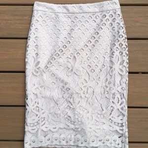 Body Con Lace Overlay Skirt